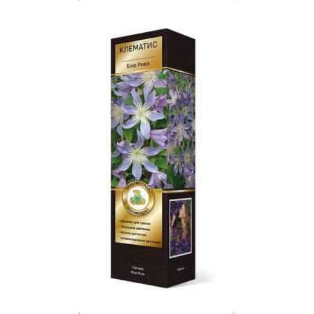 Clematis botanical suite (for cutting) "Blue Rive", 1 pc, tube, spring 2025
