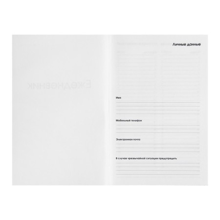 Diary of Leduced A5-, 128 sheets "Green", firm cover with foam rubber, lamination Soft Touch, foil embossing, block 70 g/m2-2