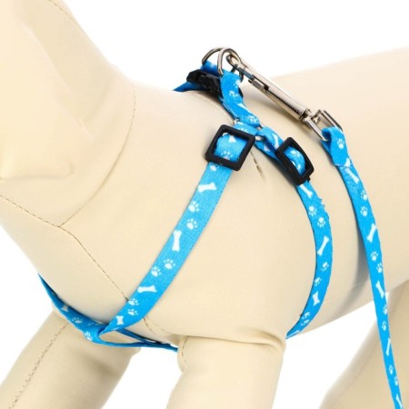 Set "Classic", Kapron, leash 120 x 1 cm, fire 21-35 cm, blue-2
