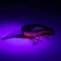 Wobbler Namazu Astropilot, L-45 mm, 5.5 g, KRANK, floating, 0.5-1.5M, color No. 13