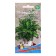 Coriander seeds "Siberian doctor", 2 g