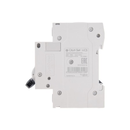 The circuit breaker SE CITY9 SET, C, 10 A, 2P, 4.5 KA, 230 V-4