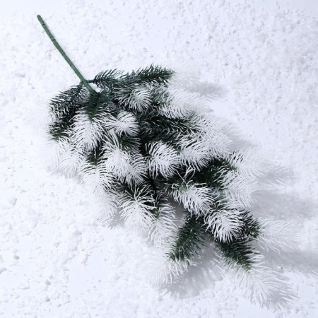Decor "Branch of silver spruce"-4