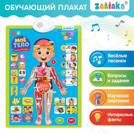 Training poster "Study anatomy: my body"
