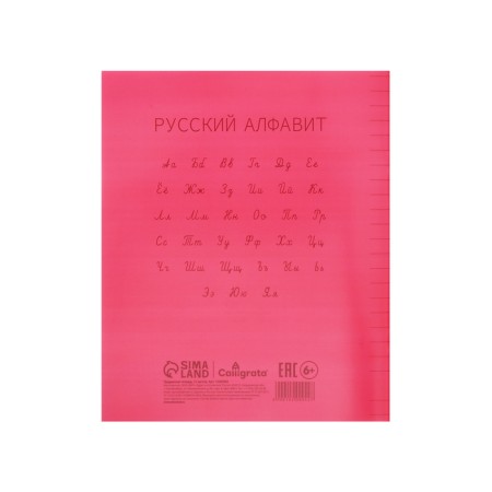 Notebook 12 sheets in the Calligrata "Red" line, plastic cover, with alphabet, OFSET block-5