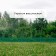 Decorative fence, 30 × 300 cm, 5 sections, plastic, green, Greengo