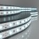 Elektrostandard LED strip, IP65, 5050, 60LED/m, 24V, Cold white glow