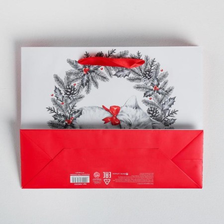 Laminated horizontal package "New Year's kitten", MS 23 x 18 x 8 cm, New Year-3