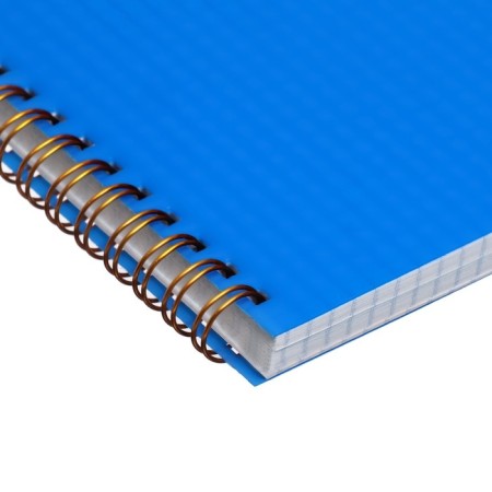 Notebook on the crest A5 96 sheets in the Calligrata cage blue, plastic cover, OFSET block-3