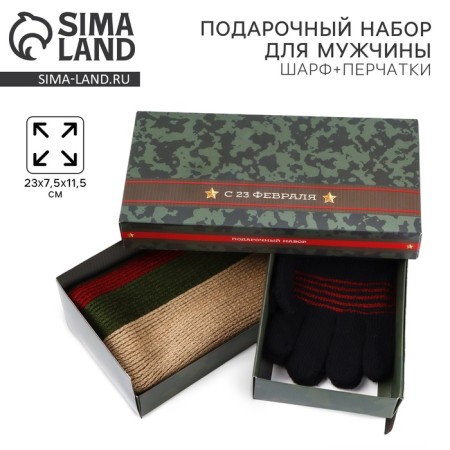 Gift set "February 23": scarf, gloves