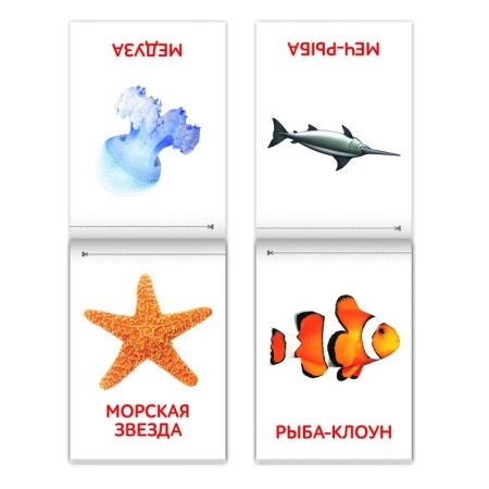 Books "Cards of Doman. The world around us ”, set, 8 pcs. 20 p.-3