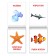 Books "Cards of Doman. The world around us ”, set, 8 pcs. 20 p.