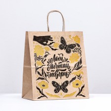 Paper package, craft 80 g/m2 25 x 22 x 12 cm 