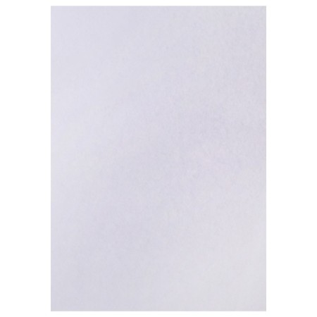 Set 5l Watman drawing A0 (840x1189) 160g/m2 V0-1