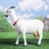 Garden figure "Goat" 44x15x40cm