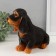 The piggy bank "Dachshund" is 19 cm height, width 11 cm, length 23 cm.
