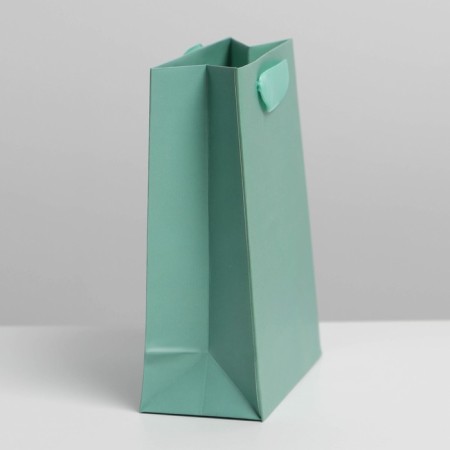 Gift Package Laminated, packaging, Tiffany, S 12 x 15 x 5.5 cm-1