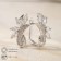 Earrings with rhinestones "zirconium" checkmark, white color in silver