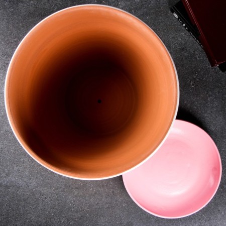 Flower, pink pot, h28, d31, 12l-1