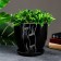 Flower pot "sophistication" black, 4.7 liters