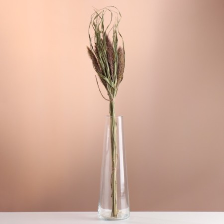 Set of dry flowers "Setaria", banch 7 pcs, length 60-65 (+/- 6 cm), natural