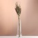 Set of dry flowers "Setaria", banch 7 pcs, length 60-65 (+/- 6 cm), natural