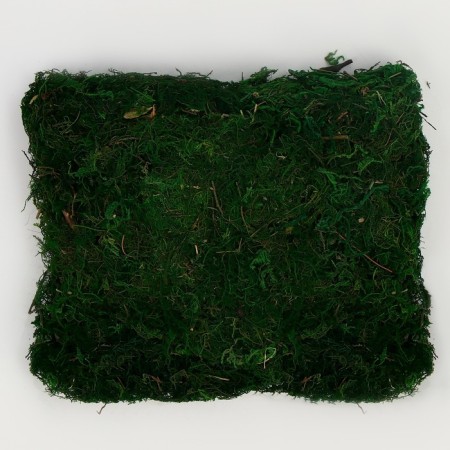Moss for decor, 80 g, size: 3 × 20 × 15 cm