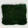 Moss for decor, 80 g, size: 3 × 20 × 15 cm