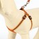 The reflective “bones” set, a collar of 120 x 1 cm, Osh 24-40 cm, fire 24-40 cm orange