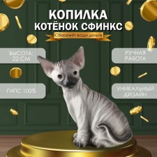 The piggy bank 