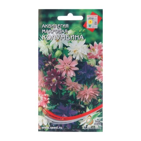 Flowers Aquilegia Tensor "Columbin", 35 pcs