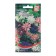 Flowers Aquilegia Tensor "Columbin", 35 pcs