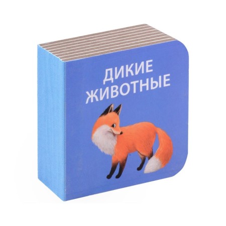 Books - cubes "I recognize the world"-3