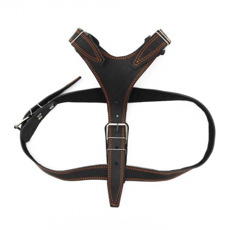 Leather harness "guard" on a felt, 3.6 cm, Osh 40-74 cm, og 95-110 cm, black-2
