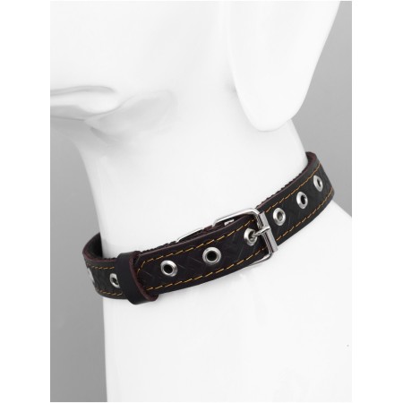 Collar leather reinforced with a kapron with a half-ring, 55 x 2.5 cm, Osh 27-53 cm, brown-7