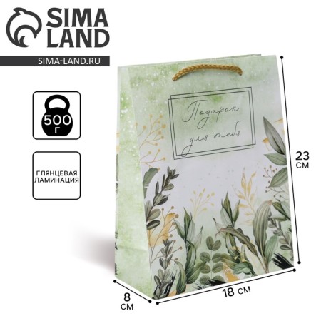 Gift package laminated, packaging, for you, MS 18 x 23 x 8 cm
