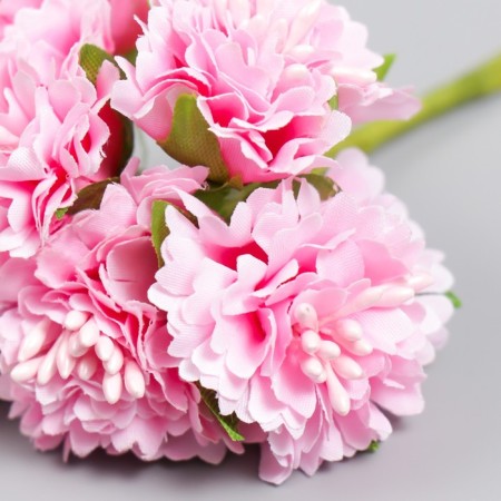 Flowers for decorating "Astra Pale pink" 1 bouquet = 6 colors 10 cm-2