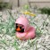 Duck with propeller, pink color, star