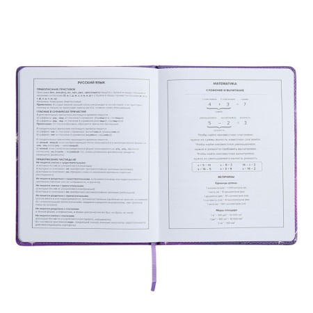 Universal Diary Grade 1-11, 48 sheets "Fairy", hard cover of artificial leather, lies, universal cheat sheet, block 80 g/m2-9