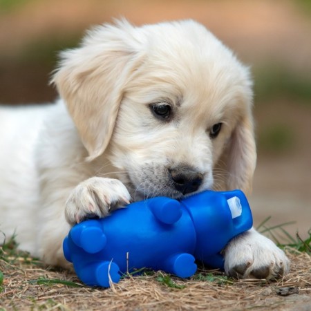 Grunting toy "cheerful pig" for dogs, 15 cm, blue-3