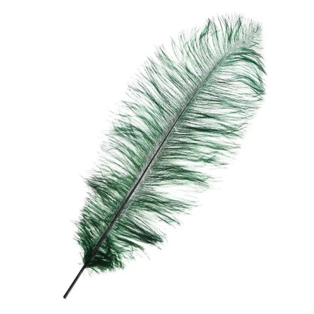 Feather for decor, length from 45 to 50 cm, dark green color