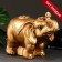 Pigger "Elephant Indian" bronze, 23x42x39cm