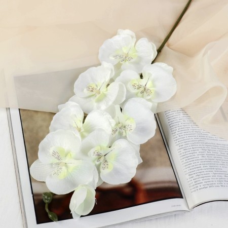 Artificial flowers "Moldiy orchid" 9x66 cm, white