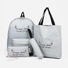 A backpack with a zipper, an outer pocket, a set of a chover, bag, color gray