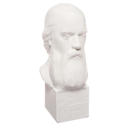 Gypsum figure famous people: Bust Saltykov-Shchedrin 20*9.5*10.5 10-195