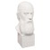 Gypsum figure famous people: Bust Saltykov-Shchedrin 20*9.5*10.5 10-195