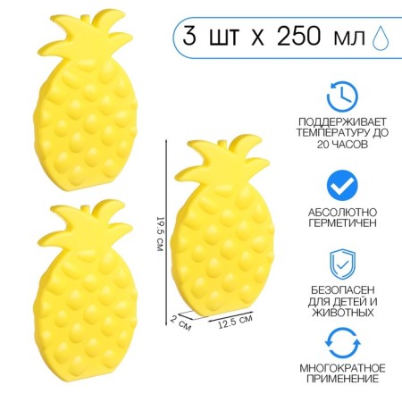 Cold battery "Master K. Pineapple", 250 ml, 19.5 x 12.5 cm, yellow, set 3 pcs