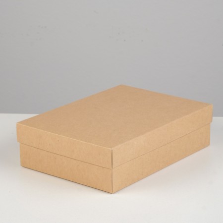 Cardboard box without window, craft, 21 x 15 x 5 cm-1