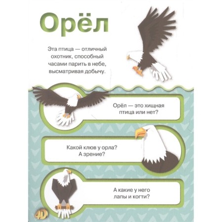 Cards with augmented reality "Animals 4D"-3