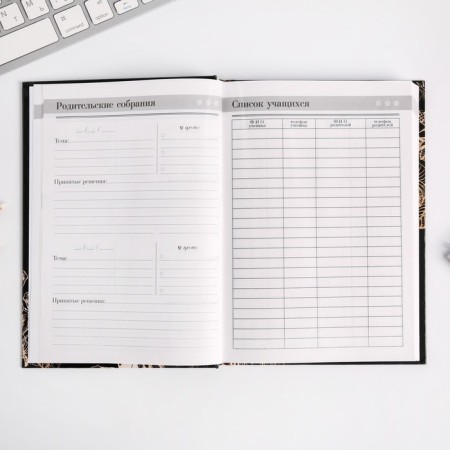 Diary of the Teacher "Golden Teacher", A5 format, solid cover cardboard 7BC, 160 sheets-8
